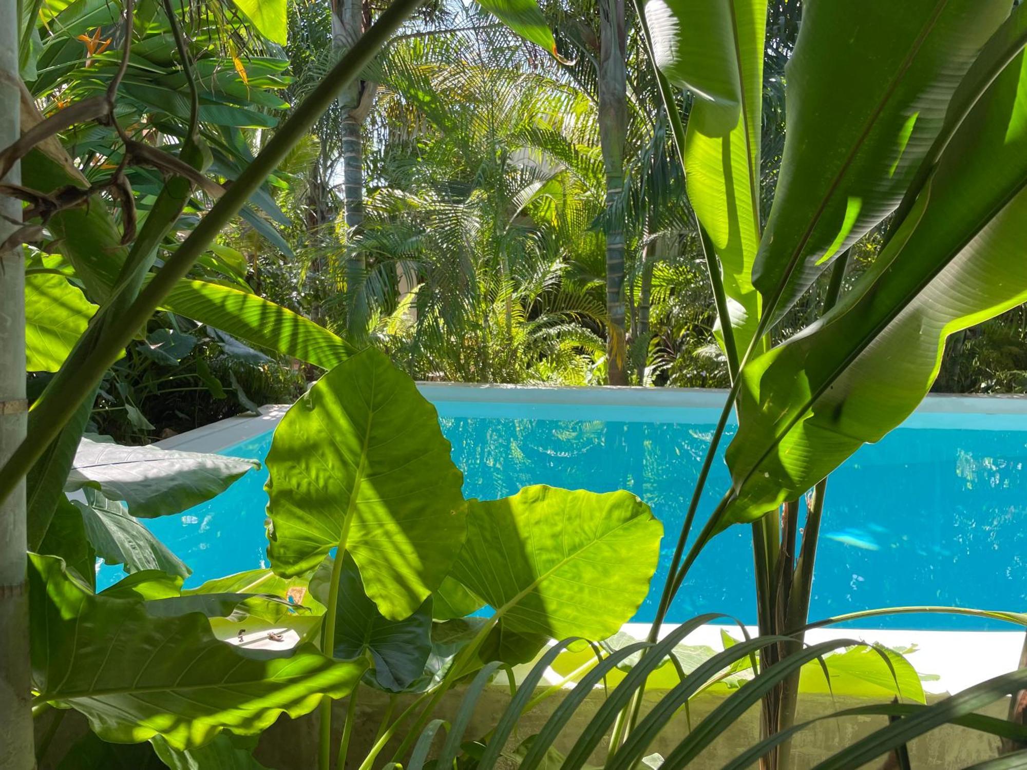 Gaia Villas Nungwi Exterior foto